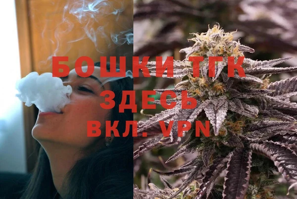 прущие грибы Аркадак