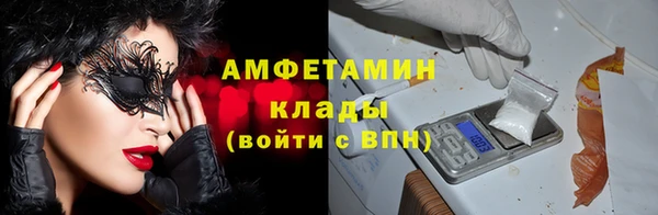 соль ск Алзамай