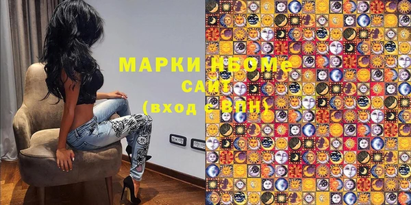 прущие грибы Аркадак