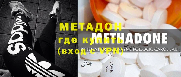 индика Фёдоровский