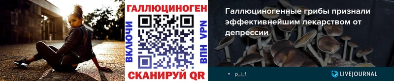 Галлюциногенные грибы мухоморы  Ахтырский 